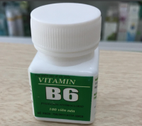 Vitamin B6 lọ 100v