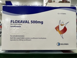 FLOXAVAL 500MG