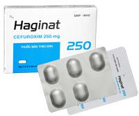 Haginat 250