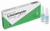 Lincomycin 600mg