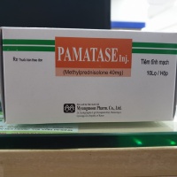 PAMATASE 40MG